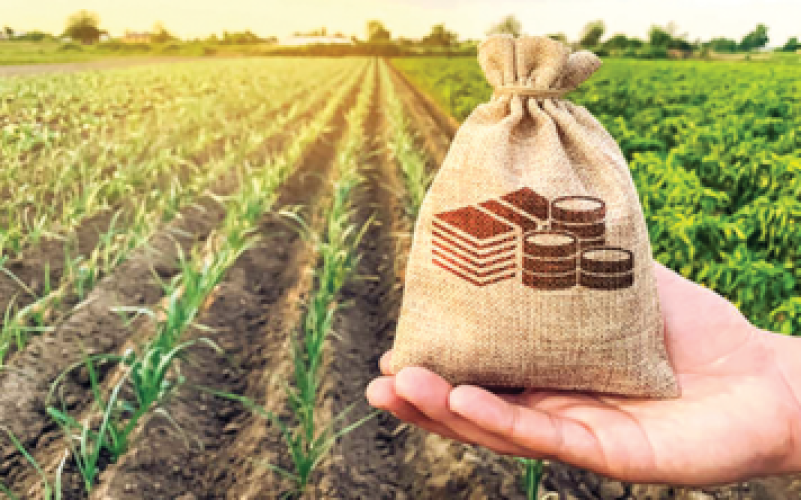 Rural Development and Finance
